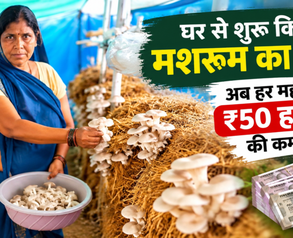 Mithila Didi Mushroom Farming Success Story