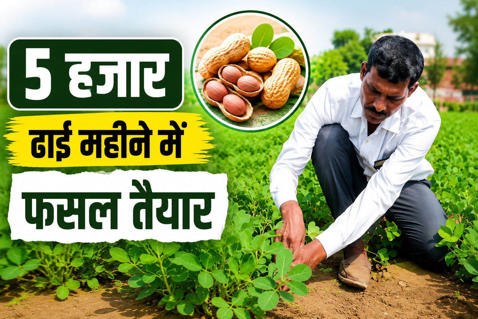 5 हजार रुपये की लागत में ढाई महीने में तैयार होती है मूंगफली, योगेंद्र सिंह ने खेती से बनाया कमाई का मॉडल Yogendra Singh Moongfali Farming Success Story in UP