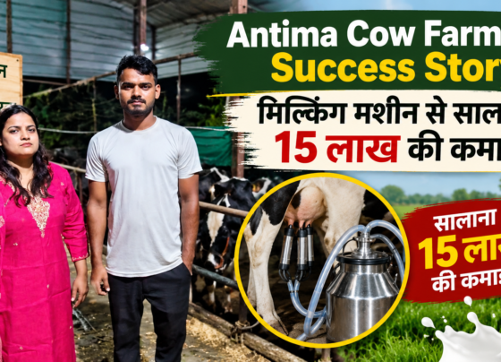Antima Cow Farming Success Story