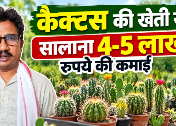 Firoz Khan Cactus Farming Success Story