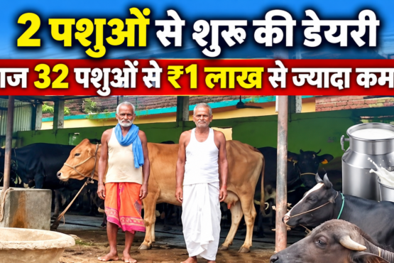 Kapil Dev Yadav Birendra Yadav Dairy Farming Success Story