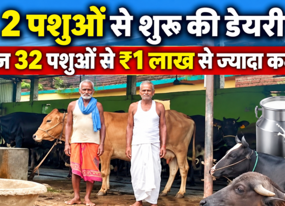 Kapil Dev Yadav Birendra Yadav Dairy Farming Success Story