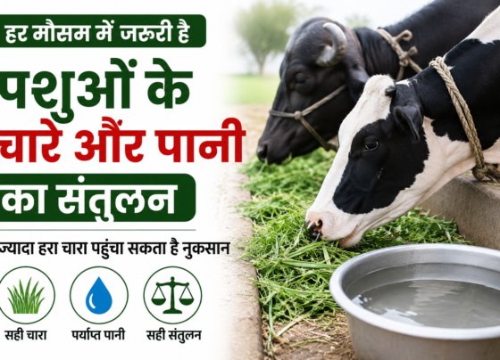 Pashuon Ke Chare Aur Pani Ka Santulan