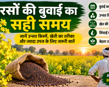 Sarson Ki Buwai Ka Sahi Samay