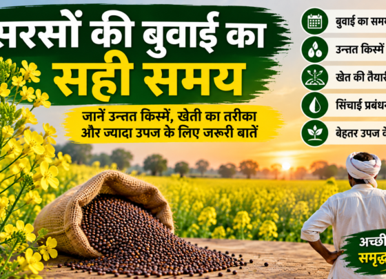 Sarson Ki Buwai Ka Sahi Samay