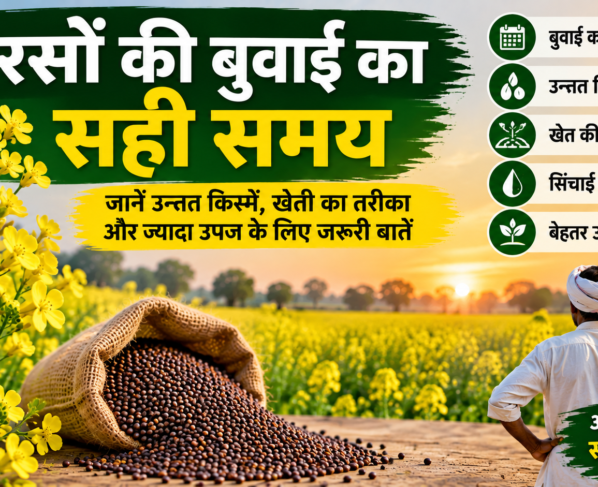 Sarson Ki Buwai Ka Sahi Samay