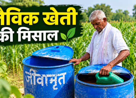 Nathuram Organic Farming Success Story