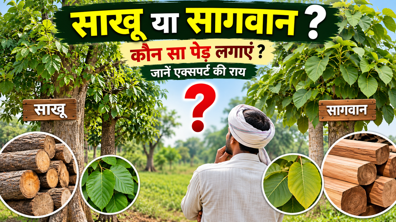 साखू या सागवान महंगी लकड़ी के लालच में कहीं गलत पेड़ तो नहीं लगा रहे किसान? जानें एक्सपर्ट की राय Sakhua Aur Sagwan Mein Kaun Sa Ped Lagaye