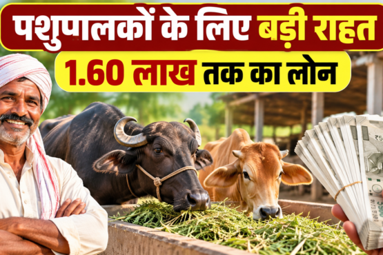 Pashupalakon Ke Liye Kisan Credit Card Yojana