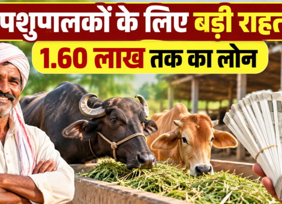 Pashupalakon Ke Liye Kisan Credit Card Yojana