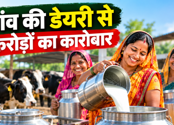 Balini Mahila Dairy Success Story