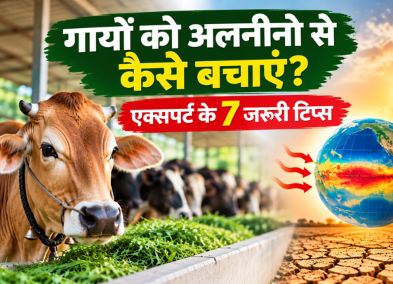 Gayon Ko El Nino Se Kaise Bachayen