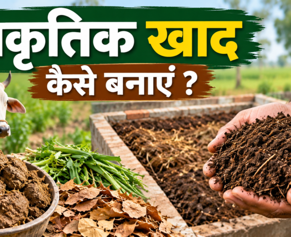 Prakritik Khad Kaise Banaye