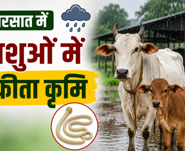 Barsaat Mein Pashuon Mein Feeta Krimi