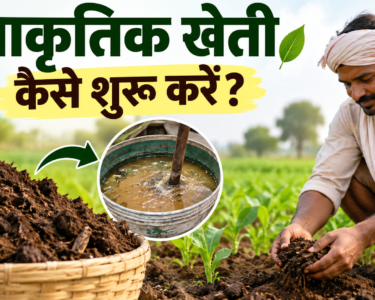 Prakritik Kheti Kaise Shuru Karein?