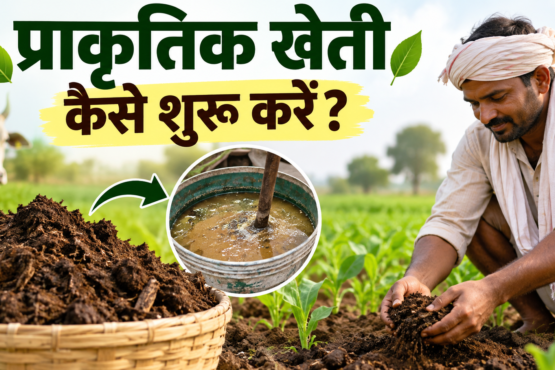 Prakritik Kheti Kaise Shuru Karein?