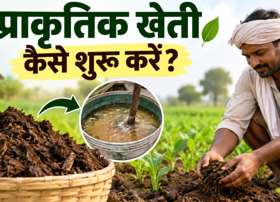 Prakritik Kheti Kaise Shuru Karein?