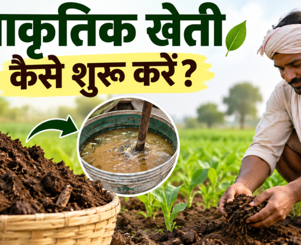 Prakritik Kheti Kaise Shuru Karein?