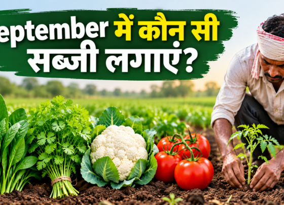 September Mein Kaun Si Sabji Lagaye?