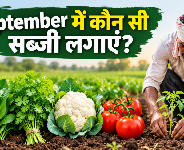 September Mein Kaun Si Sabji Lagaye?