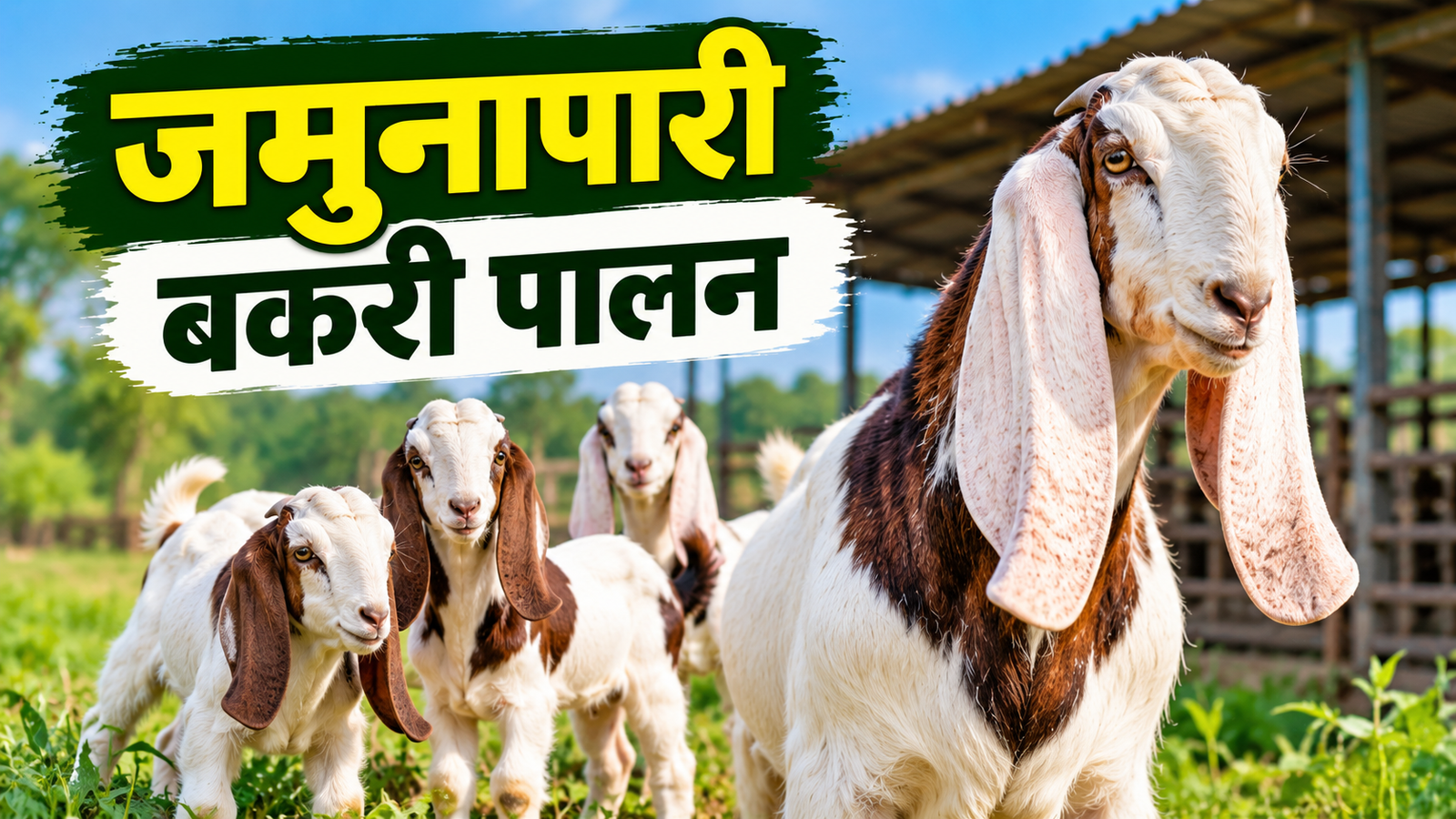 Jamunapari Bakri Palan: एक बकरी की कीमत 1 लाख तक, दूध से भी कमाई का मौका