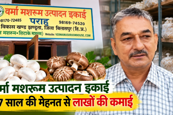 Jagdish Verma Mushroom Farming Success Story