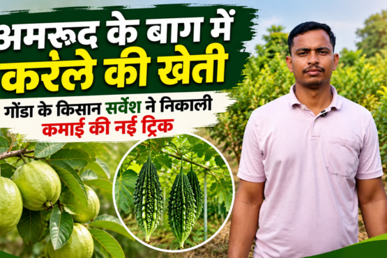 Sarvesh Tiwari Farmer Success Story