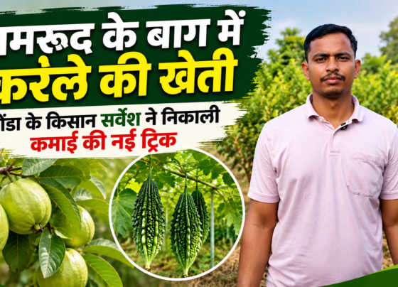 Sarvesh Tiwari Farmer Success Story