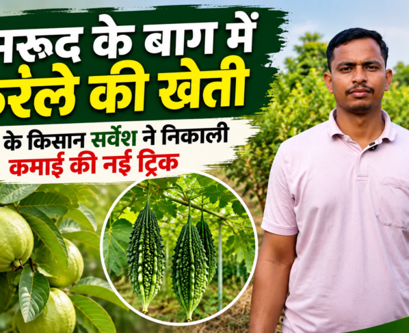 Sarvesh Tiwari Farmer Success Story
