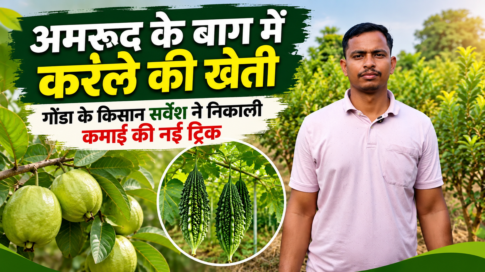 अमरूद के बाग में करेले की खेती, गोंडा के किसान सर्वेश ने निकाली कमाई की नई तरकीब  Sarvesh Tiwari Farmer Success Story