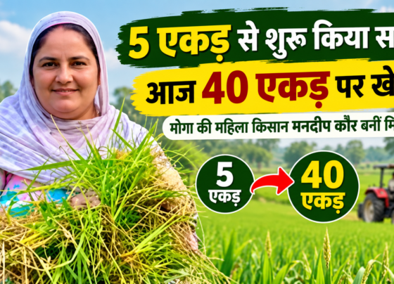 Mandeep Kaur Farming Success Story in Punjab