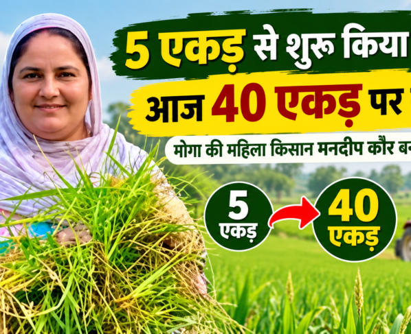 Mandeep Kaur Farming Success Story in Punjab