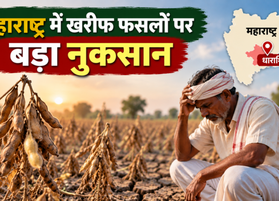 Maharashtra Kharif Fasal Nuksan 2026