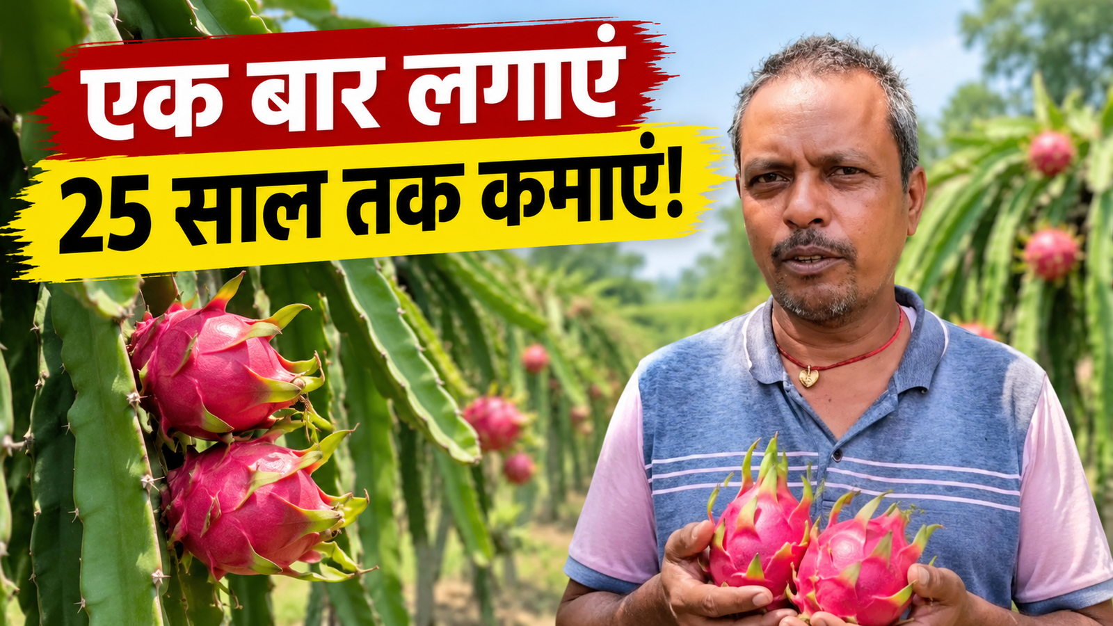 ड्रैगन फ्रूट की खेती से बिहार के किसान ने कमाया अच्छा मुनाफा Manjay Prasad Dragon Fruit Farming Success Story