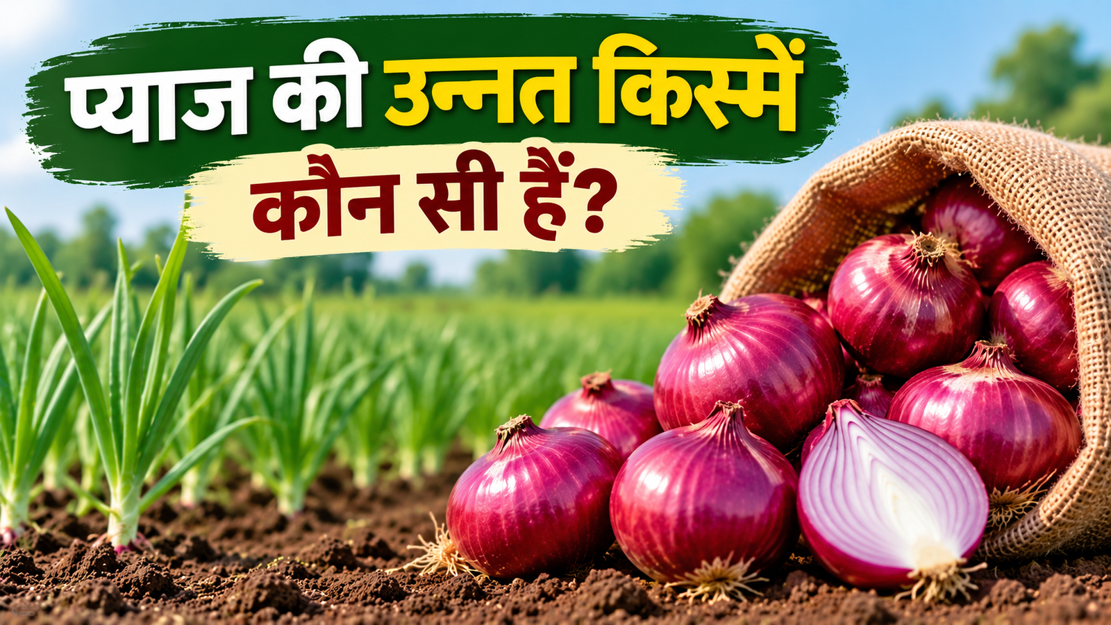 प्याज की ये 3 किस्में किसानों के लिए वरदान, कृषि वैज्ञानिक से जानिए खेती का सही तरीका  Pyaaj Ki Unnat Kismein Konsi Hai?
