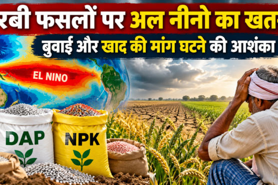Al Nino Ka Rabi Faslon Par Asar