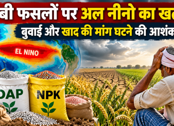 Al Nino Ka Rabi Faslon Par Asar