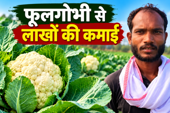 Sukhdas Maurya Phoolgobhi Farming Success Story