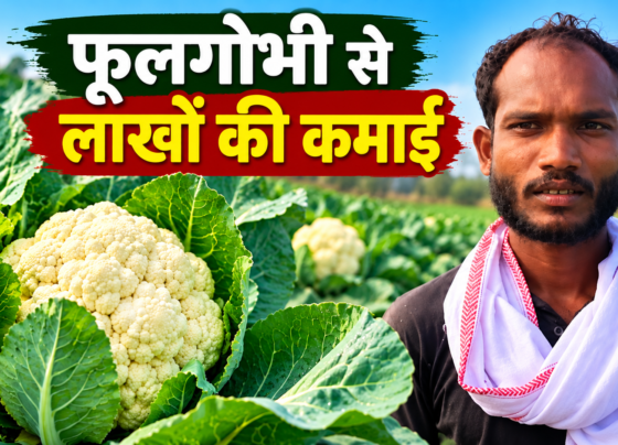 Sukhdas Maurya Phoolgobhi Farming Success Story