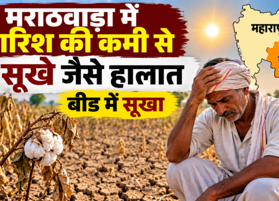 Marathwada Mein Barish Ki Kami Se Sukhe Jaise Halat