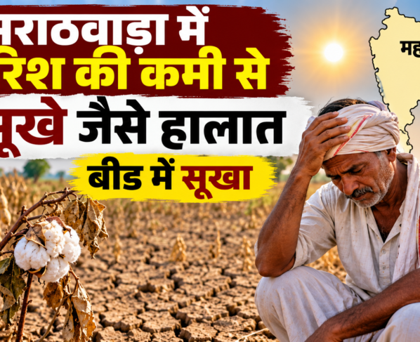 Marathwada Mein Barish Ki Kami Se Sukhe Jaise Halat