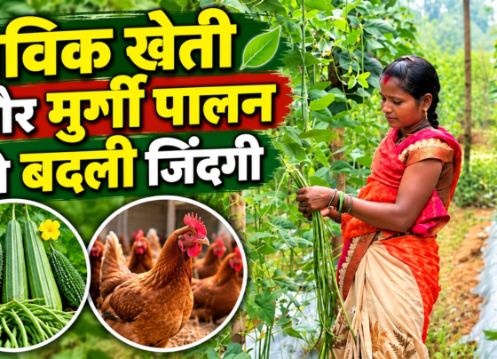 Rekha Sahu Farming Success Story in Bastar