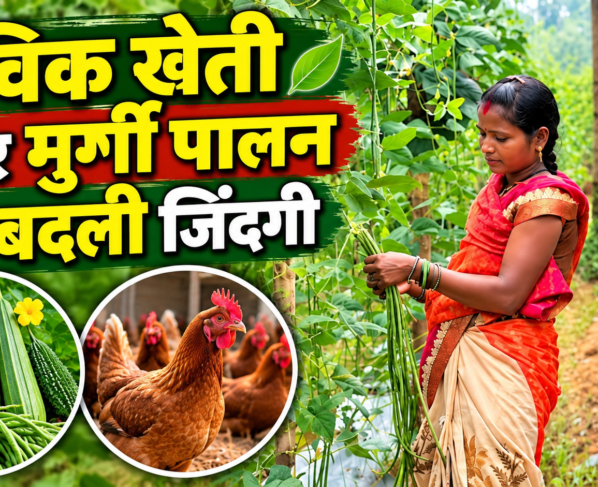 Rekha Sahu Farming Success Story in Bastar