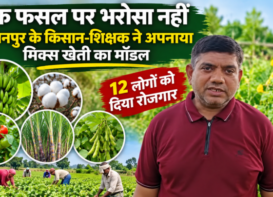 Sujit Patel Mixed Farming Success Story