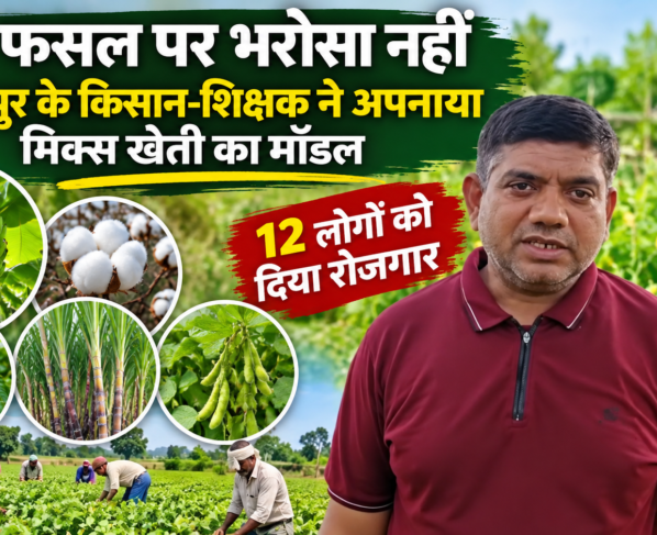 Sujit Patel Mixed Farming Success Story