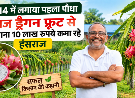 Hansraj Nakhat Dragon Fruit Farming Success Story