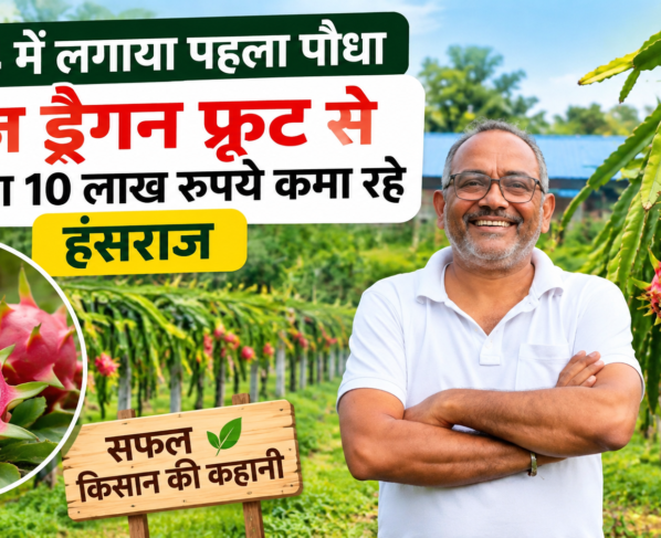 Hansraj Nakhat Dragon Fruit Farming Success Story