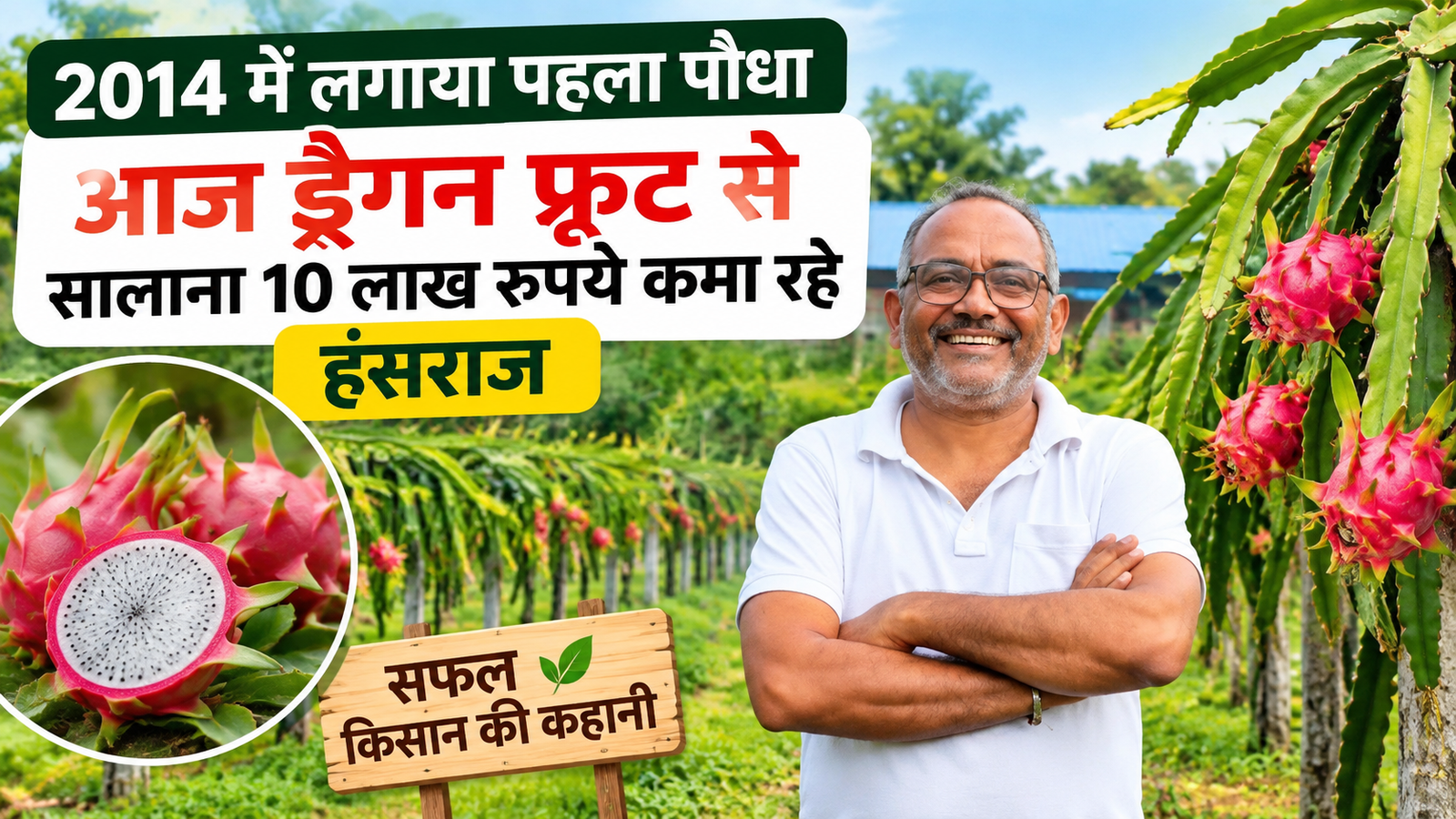 2014 में लगाया पहला पौधा, आज ड्रैगन फ्रूट की खेती से सालाना 10 लाख रुपये की कमाई Hansraj Nakhat Dragon Fruit Farming Success Story