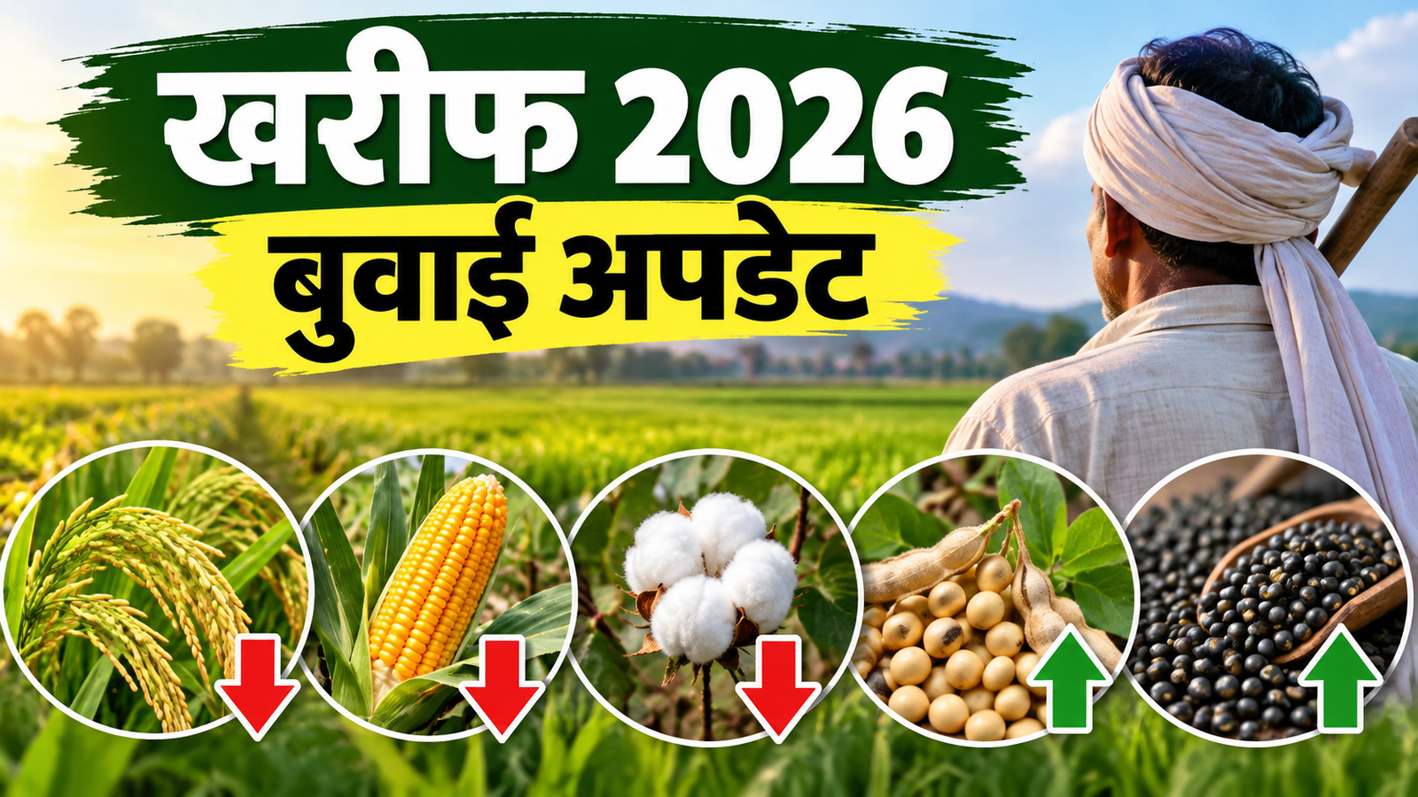 खरीफ 2026 बुवाई धान, मक्का और कपास का रकबा घटा, दलहन-तिलहन में बढ़ोतरी  Kharif Fasal Rakba 2026