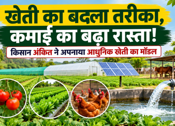 Ankit Farming Success Story in Chhattisgarh